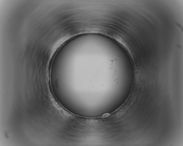 X0000103441088200809191719