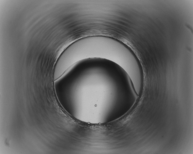X0000103441089200809191719