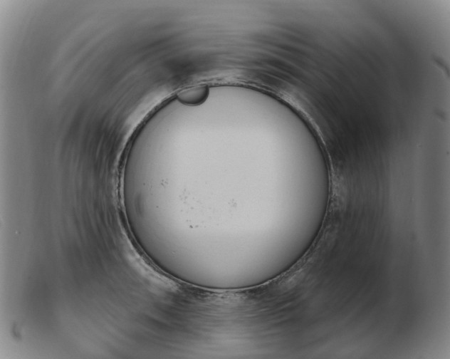 X0000103441090200809191719