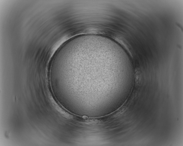 X0000103441091200809191719