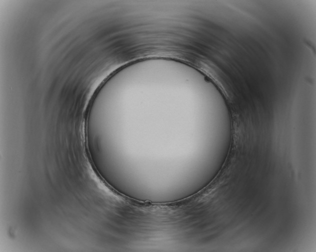 X0000103441092200809191719
