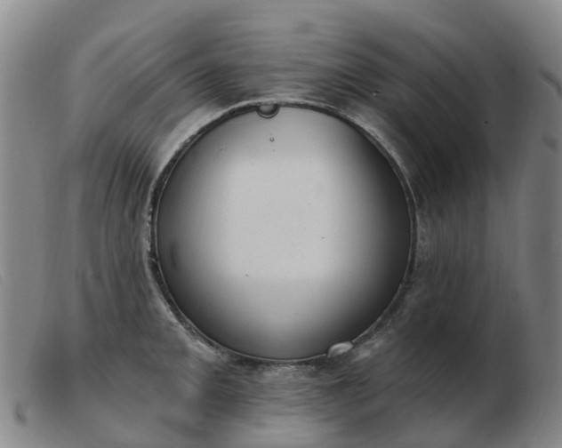 X0000103441093200809191719