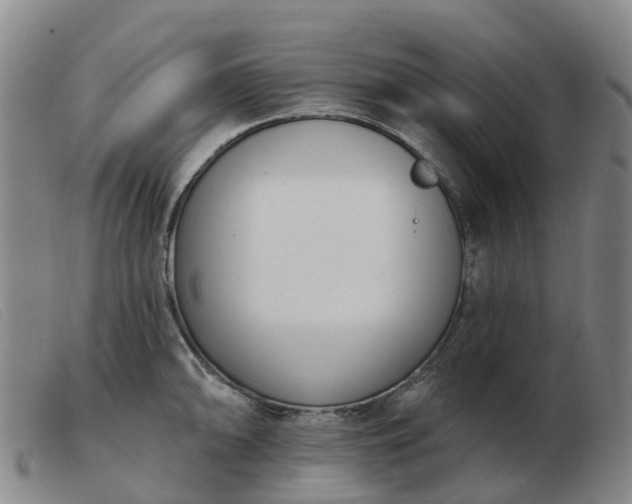 X0000103441094200809191719