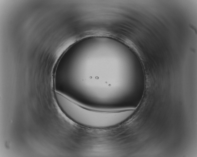 X0000103441095200809191719