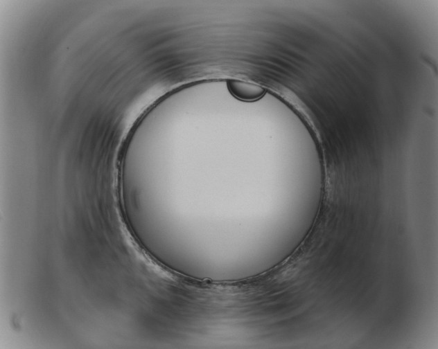 X0000103441096200809191719