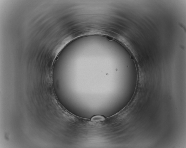 X0000103441097200809191719
