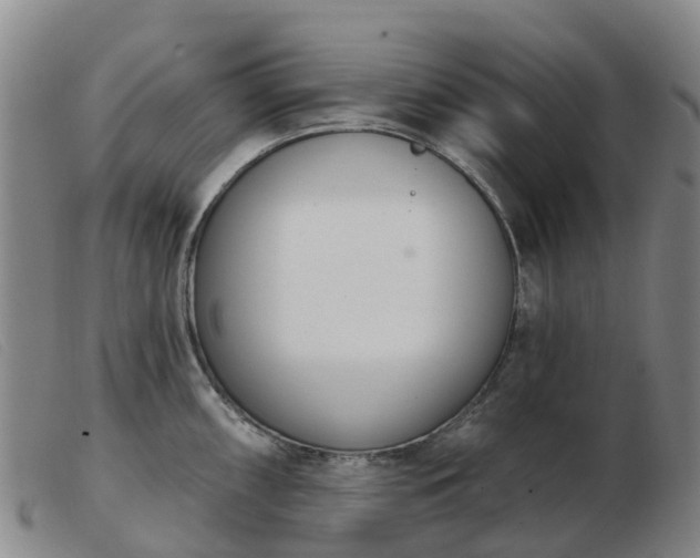 X0000103441098200809191719