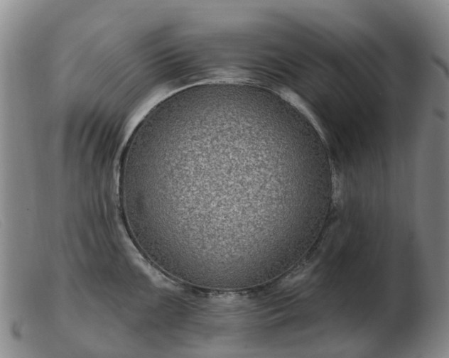 X0000103441099200809191719