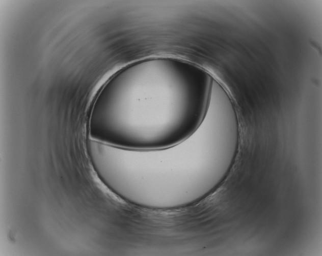 X0000103441100200809191719