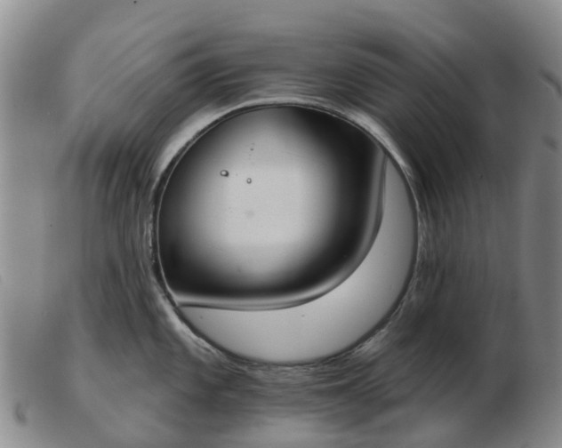 X0000103441101200809191719