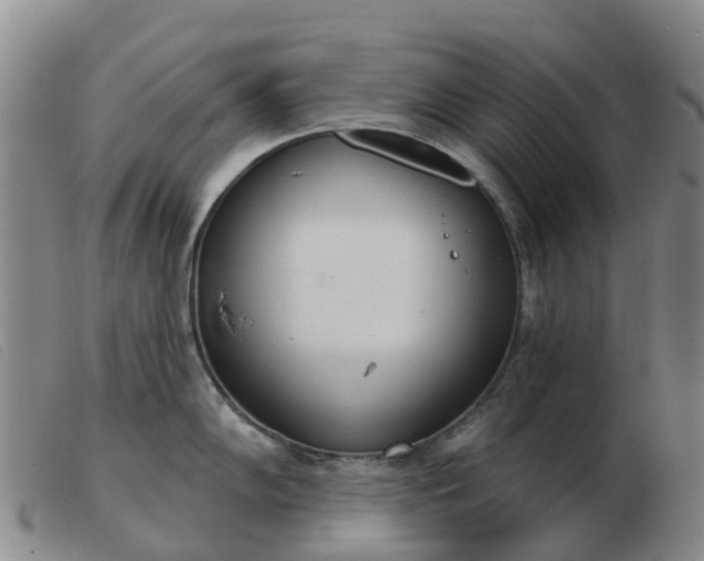 X0000103441102200809191719