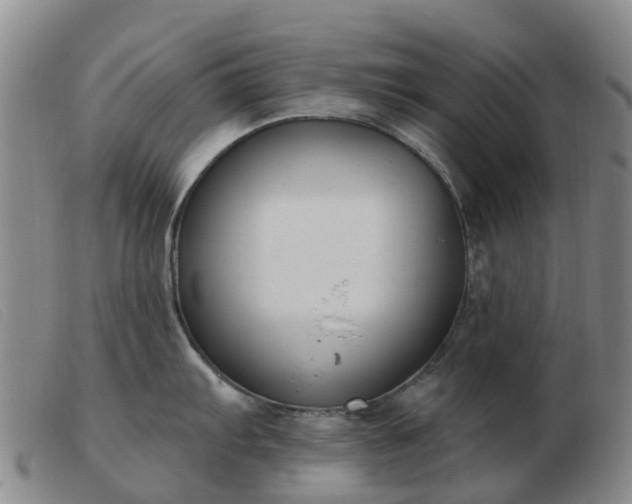 X0000103441103200809191719