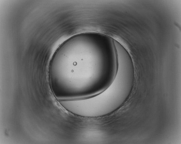X0000103441104200809191719