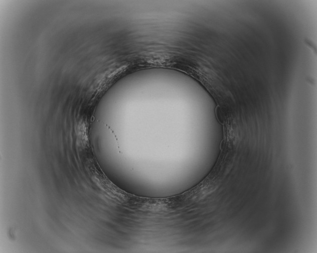 X0000103441106200809191718