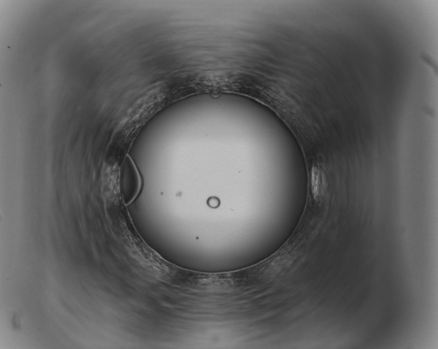 X0000103441107200809191718