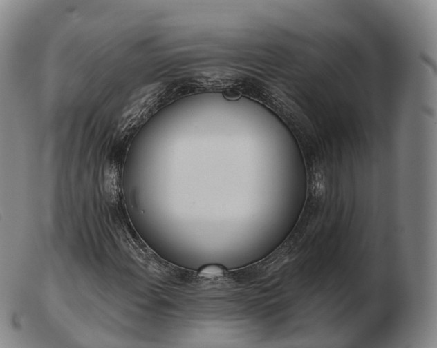 X0000103441108200809191718