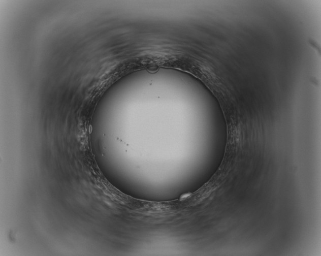 X0000103441109200809191718