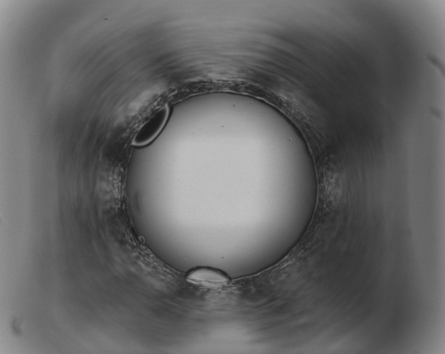 X0000103441110200809191718