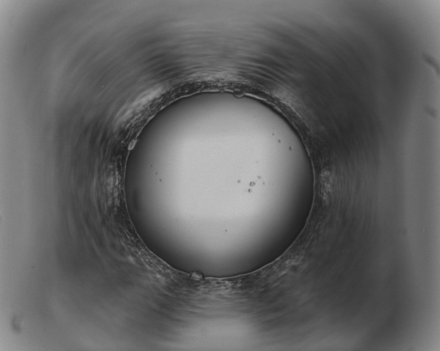 X0000103441111200809191718