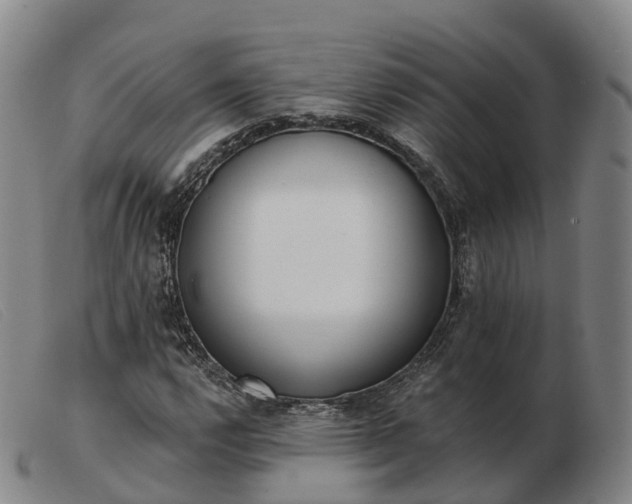 X0000103441112200809191718