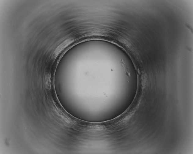 X0000103441113200809191718
