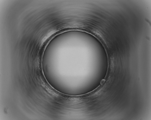 X0000103441114200809191718
