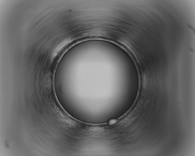 X0000103441115200809191718