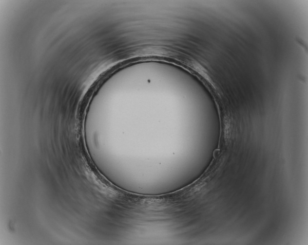 X0000103441116200809191718