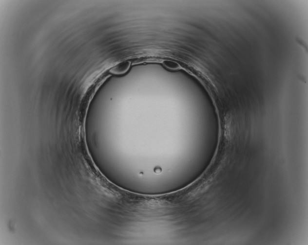 X0000103441117200809191718