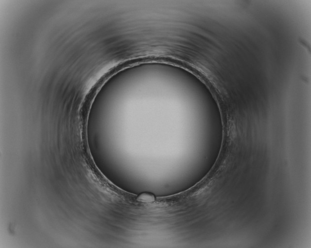 X0000103441118200809191718
