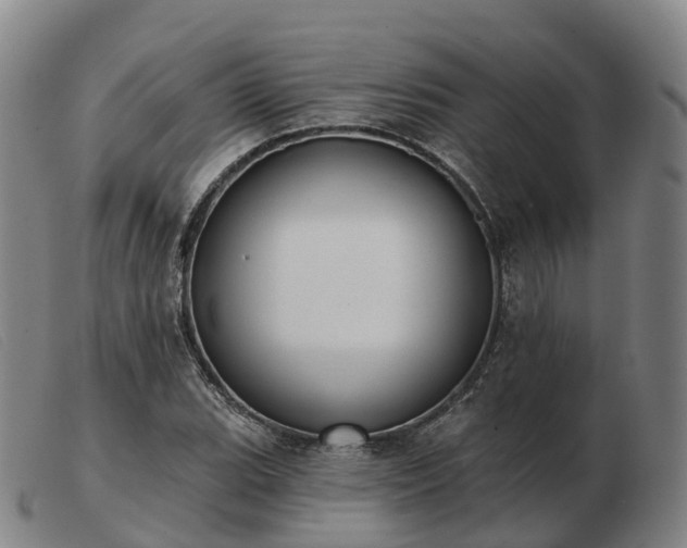 X0000103441119200809191718