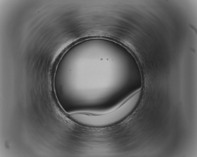 X0000103441120200809191718