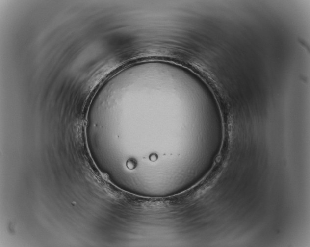 X0000103441121200809191718