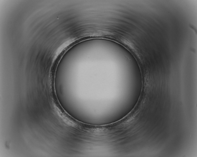X0000103441122200809191718