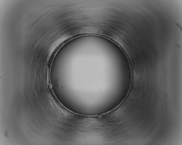 X0000103441123200809191718