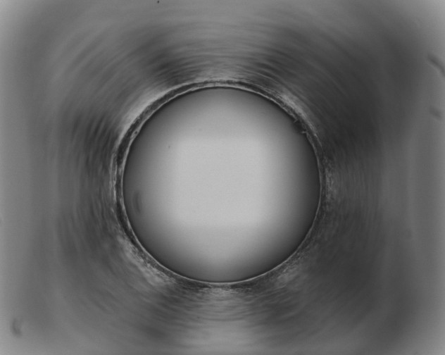 X0000103441124200809191718