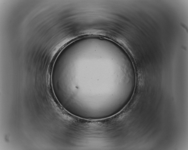 X0000103441125200809191718