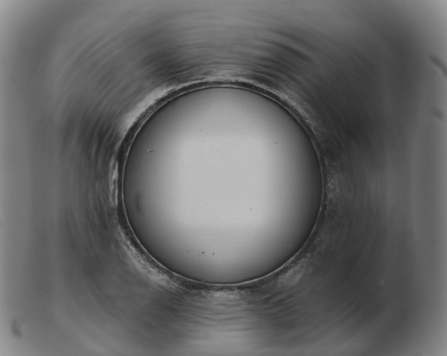 X0000103441126200809191718