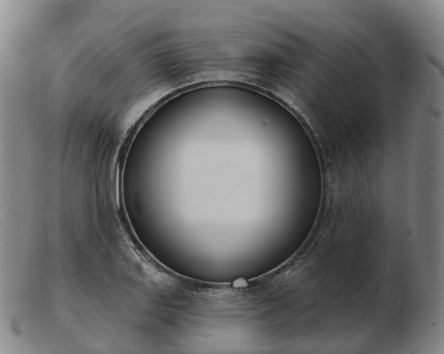 X0000103441127200809191718
