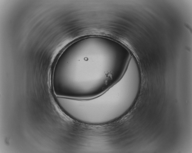 X0000103441128200809191718