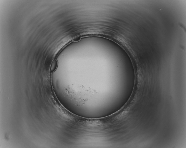 X0000103441129200809191718