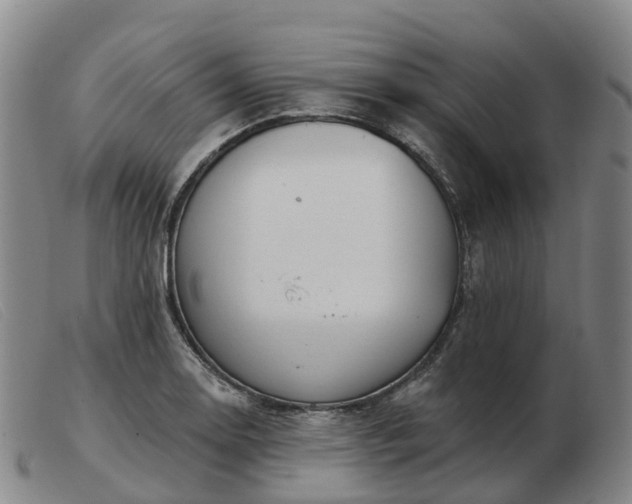 X0000103441130200809191718