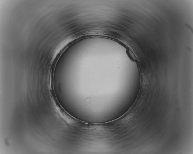 X0000103441131200809191718