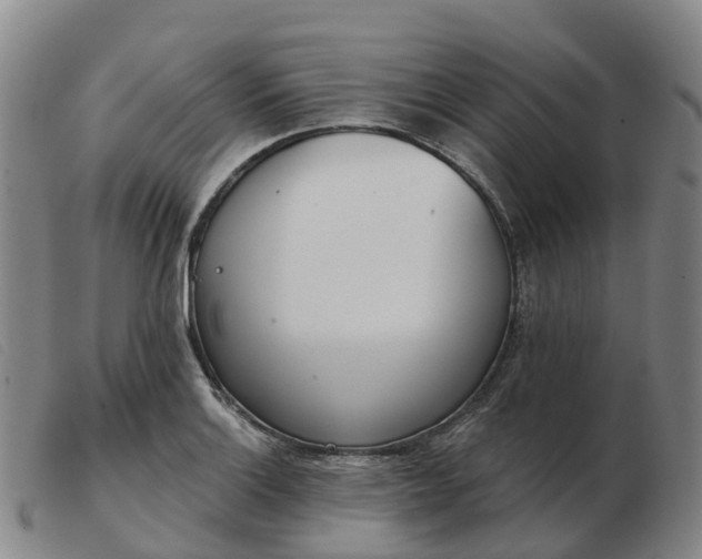 X0000103441132200809191718