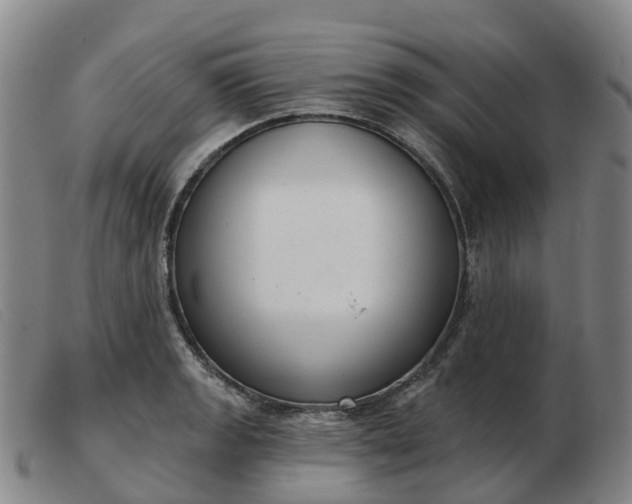 X0000103441133200809191718