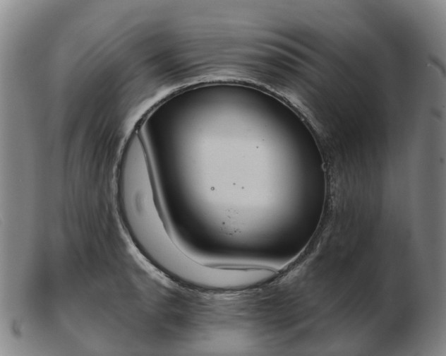 X0000103441134200809191718