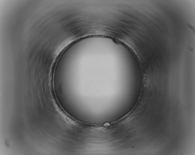 X0000103441135200809191718