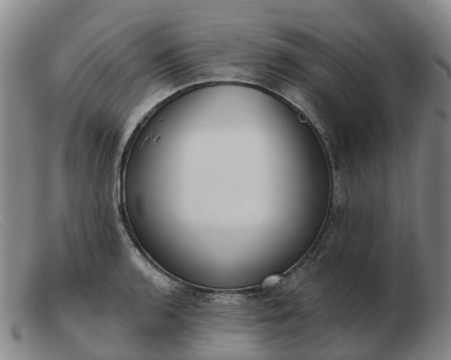 X0000103441136200809191718