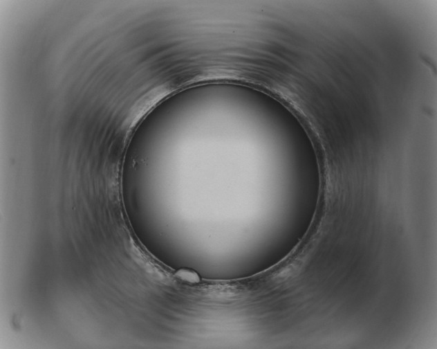 X0000103441137200809191718