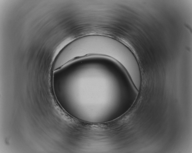 X0000103441138200809191718